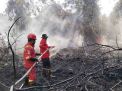 Karhutla di Aceh Selatan Terus Meluas, Luas Lahan Terbakar Capai 25 Hektare