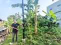 Viral Tiang Provider Berdiri di Pekarangan Tanpa Izin Pemilik Lahan, Warga Mojokerto Minta Segera Dipindahkan