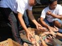 Pemkab Blitar Siapkan Sejumlah Langkah Stabilkan Harga Telur Peternak