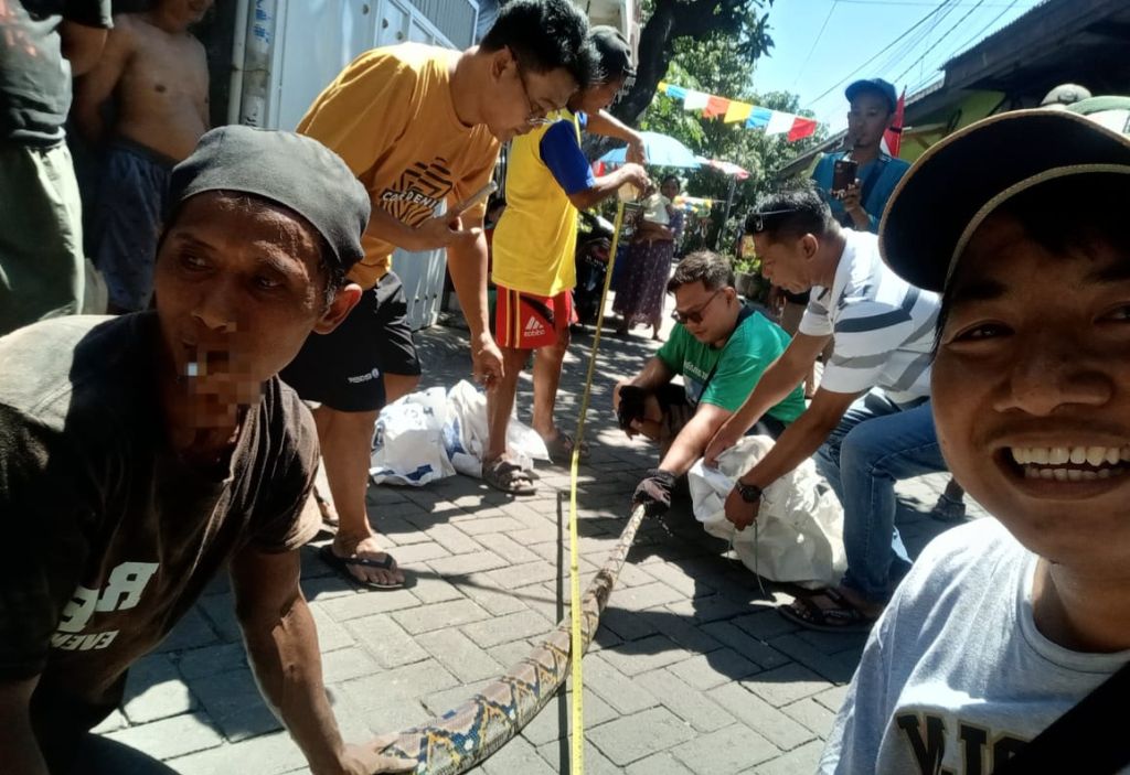 Cerita Warga Surabaya Kerja Bakti Berhadiah Piton 4 Meter