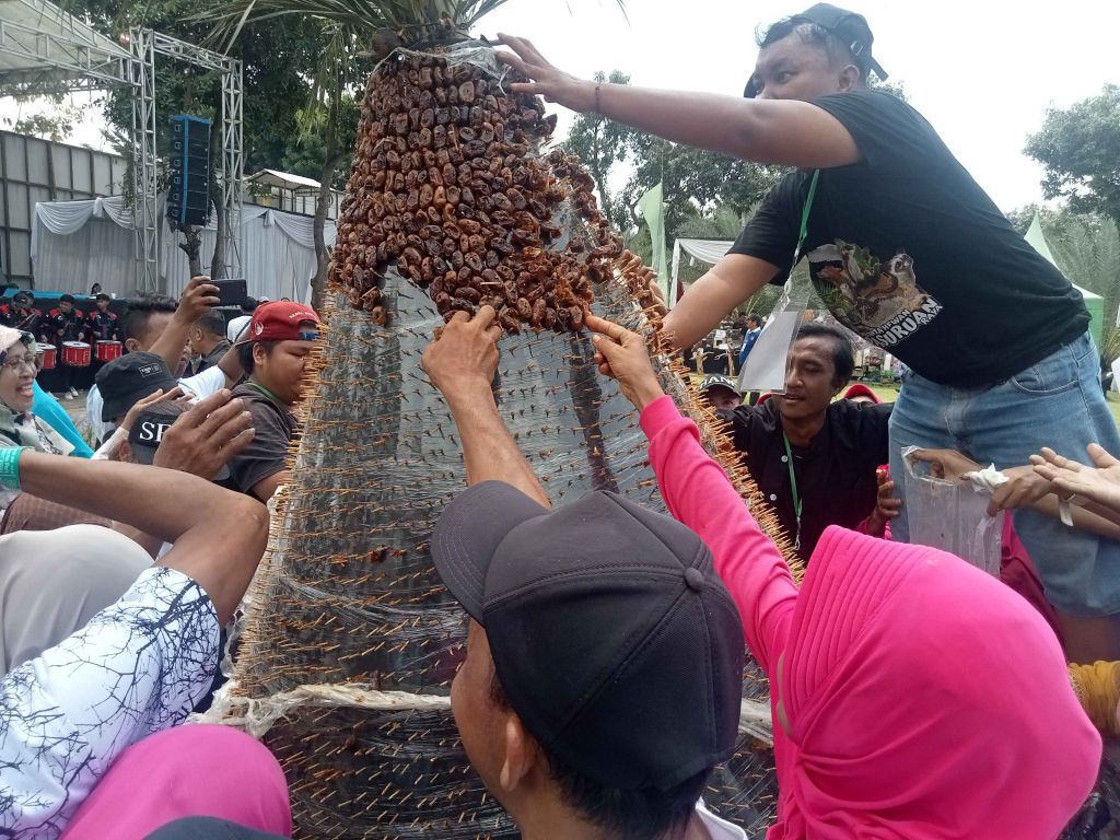 Momen Warga Berebut Gunungan Kurma 100 Kilogram di Pasuruan