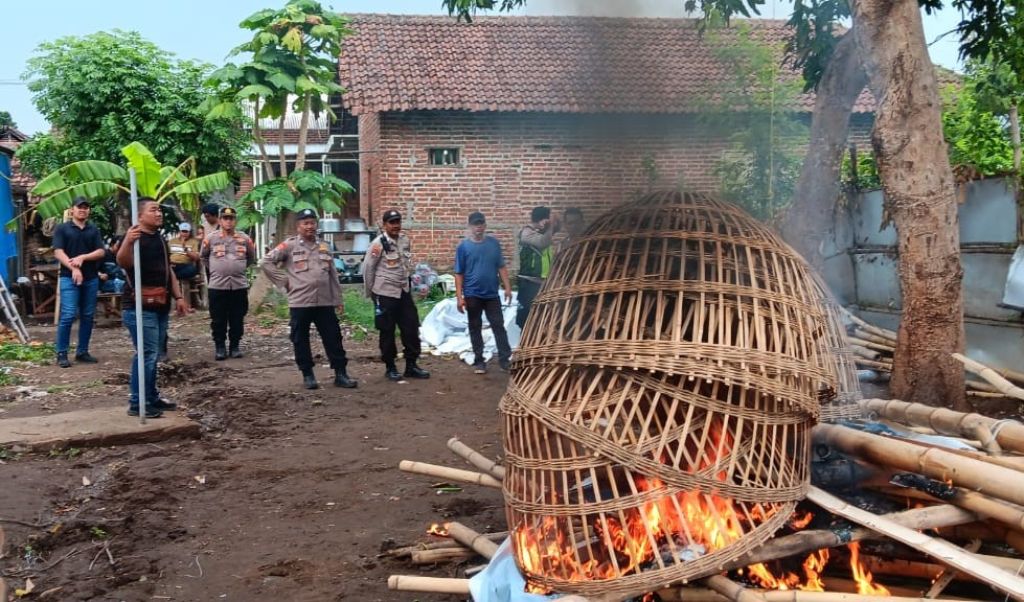 Arena Judi Sabung Ayam di Pungging, Mojokerto Digerebek