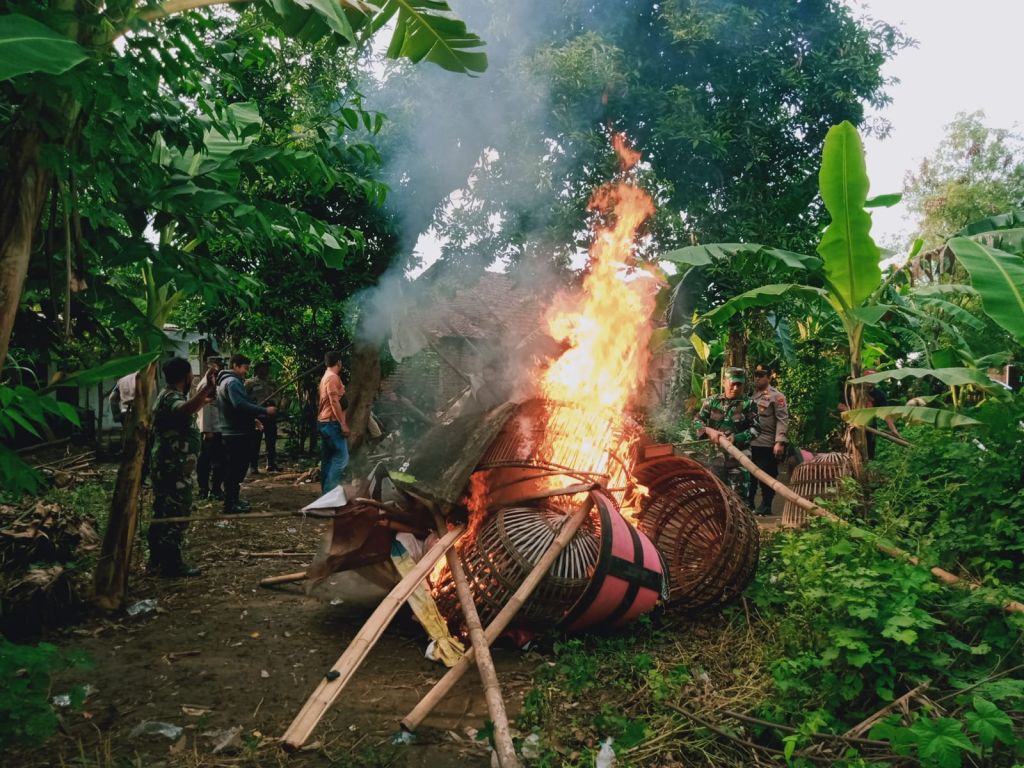 Arena Sabung Ayam di Mojokerto Digerebek, Sarananya Dibakar