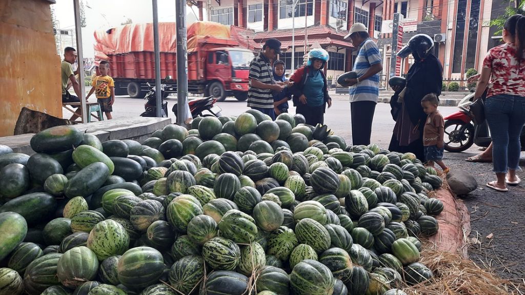 Semringah Pedagang Blewah Situbondo di Ramadan 2025, Harganya Tembus Rp9 Ribu/Kg