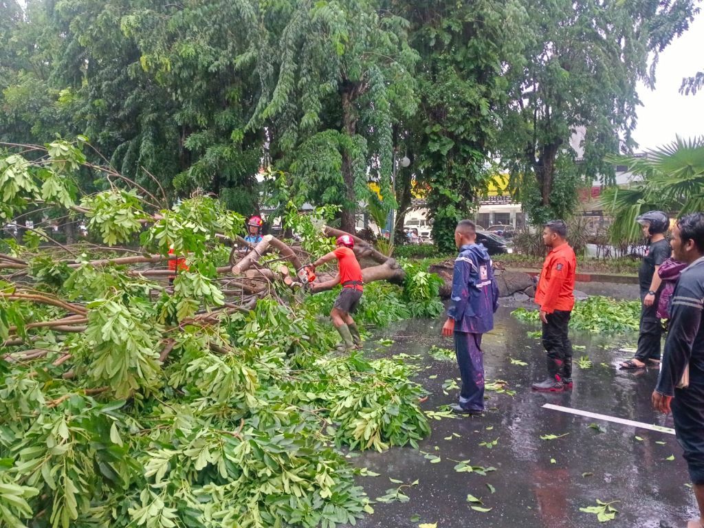 Surabaya Waspada Cuaca Ekstrem Hingga 10 Januari 2025, Bila Darurat Hubungi Nomor Ini