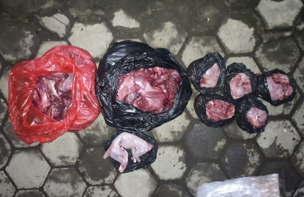 Polhut Baluran Temukan 27 Kg Daging Satwa Dilindungi saat Gerebek Rumah Warga