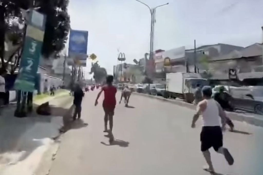 Sapi Kurban Lepas di Ciputat Timur, Lari ke Jalan Raya dan Picu Kepanikan Warga