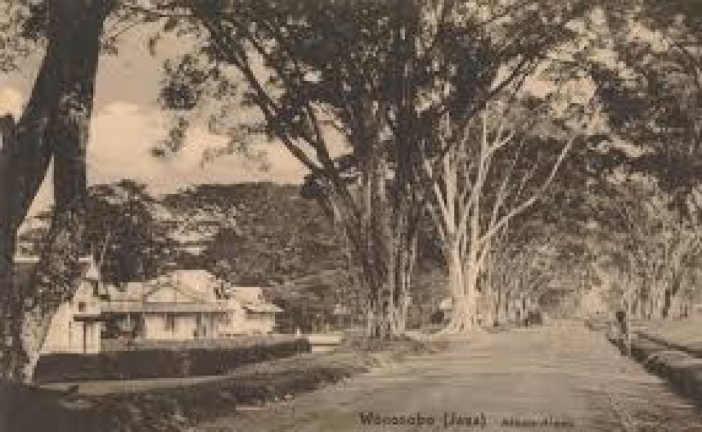 Tanggal 24 Juli, 199 Tahun Lalu Kabupaten Wonosobo Lahir