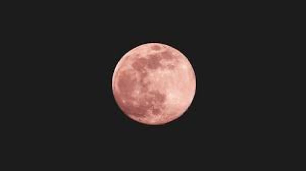 April 2026 Dihiasi Fenomena Langit Spektakuler, dari Pink Moon hingga Hujan Meteor Lyrids