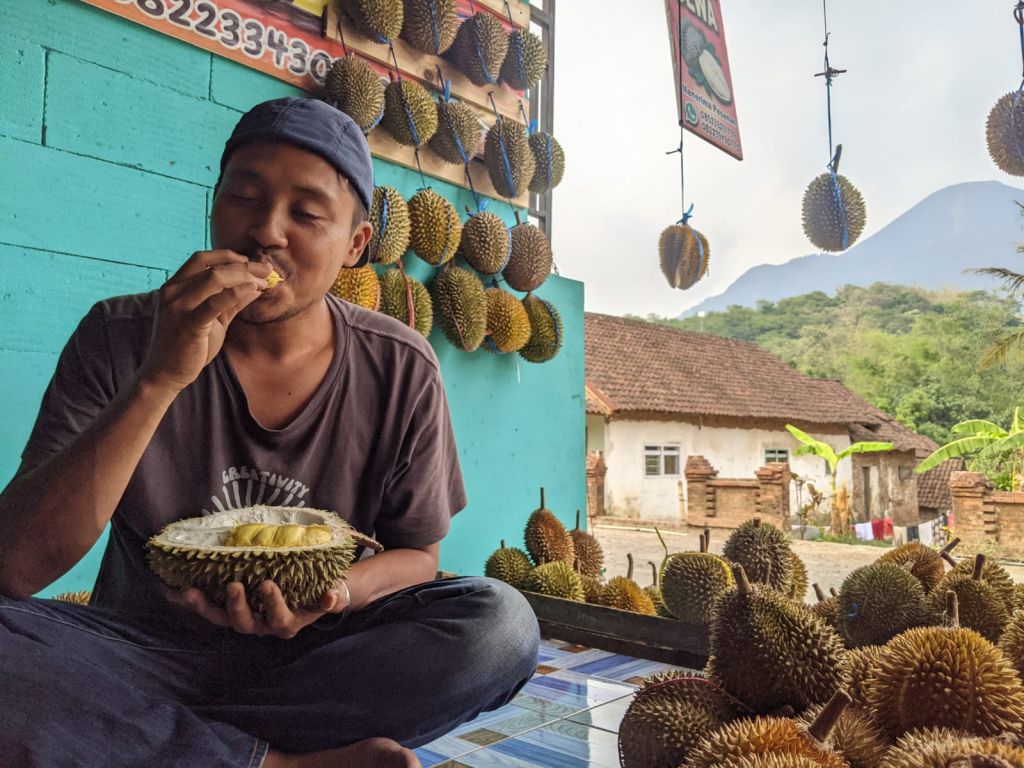 Awal Musim, Kampung Durian Duyung Mojokerto jadi Jujukan Wisatawan