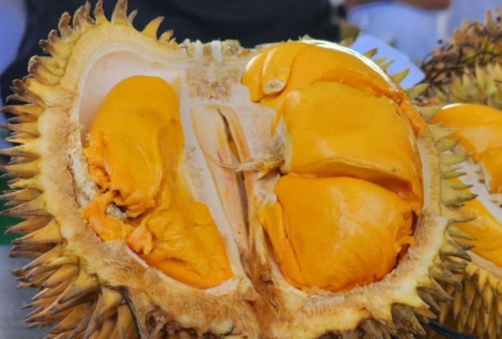 Aroma dan Rasa Legit Durian Parigi Siap Menembus Mancanegara