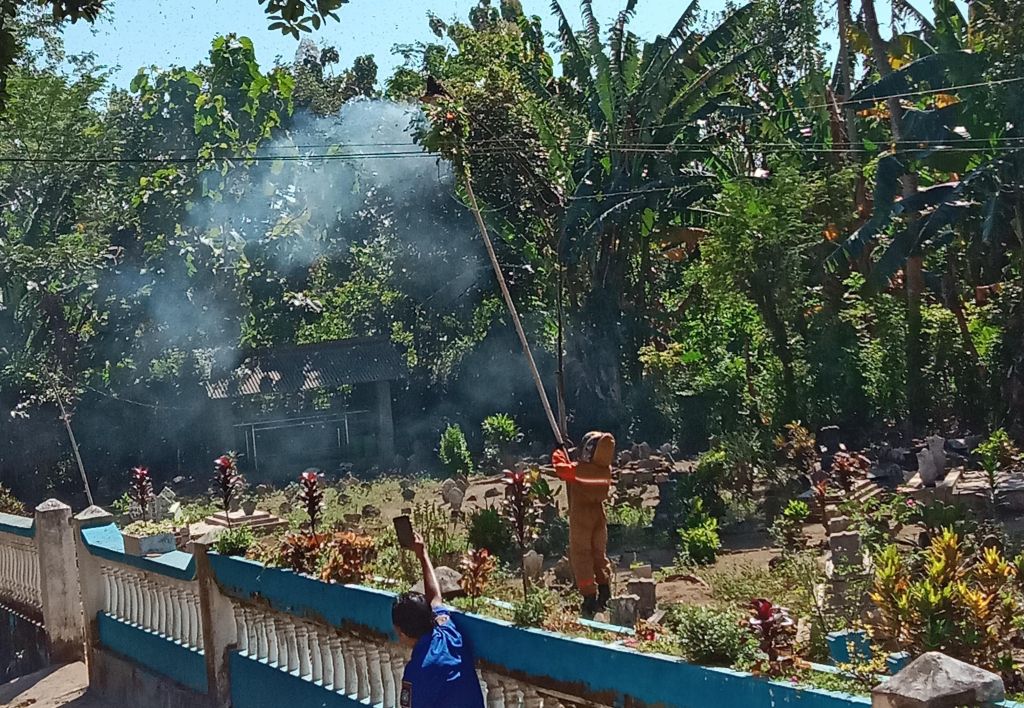 Kerap Serang Warga, Sarang Tawon di PJU Pemakaman Bondowoso Dievakuasi
