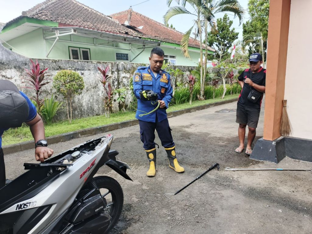 Dek Motor Pegawai Dinas PU CKPP Banyuwangi jadi Sarang Ular Hijau
