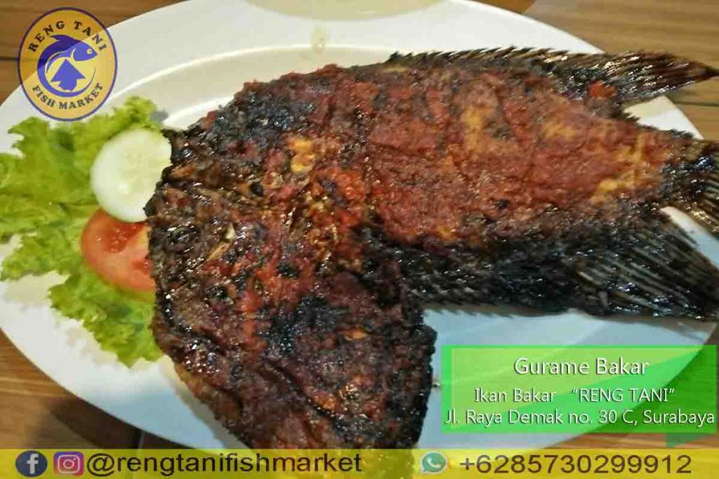 Warung Ikan Bakar Sambal Ganja Khas Aceh Hadir di Surabaya