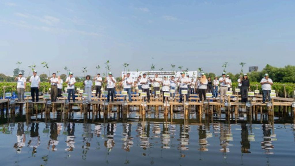 Kolaborasi Shopee dan Puluhan Ribu Pengguna Wujudkan Penanaman 2.000 Mangrove di Pesisir Jakarta