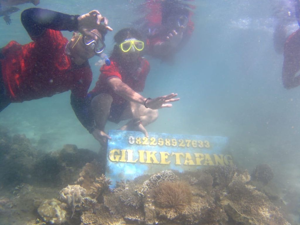 Tempat Wisata Snorkeling Terbaik di Jawa Timur: Nyaman Banget, Wajib Coba