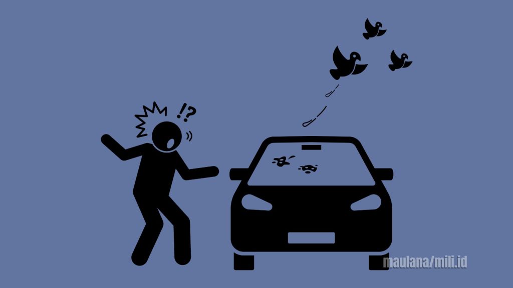 Fakta atau Mitos, Tanda Baik di Balik Kejatuhan Kotoran Burung