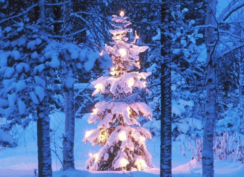 Mengenal Tradisi dan 10 Tips Menghias Pohon Natal