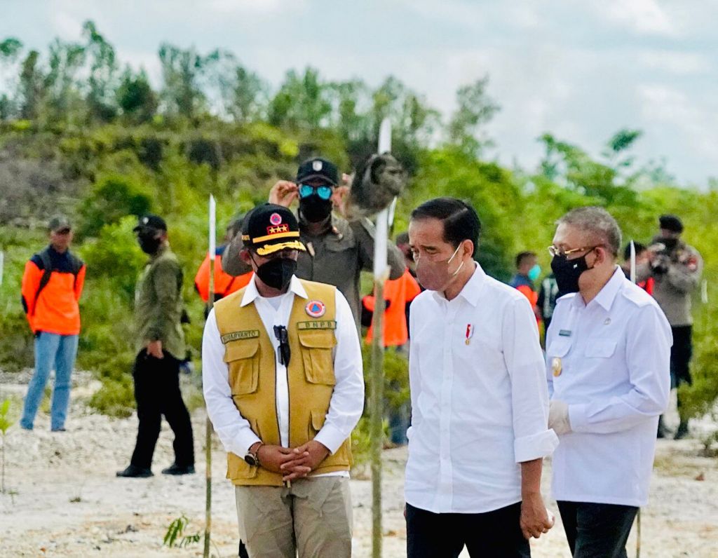 Presiden Jokowi Tanam Pohon di Area Bekas Tambang