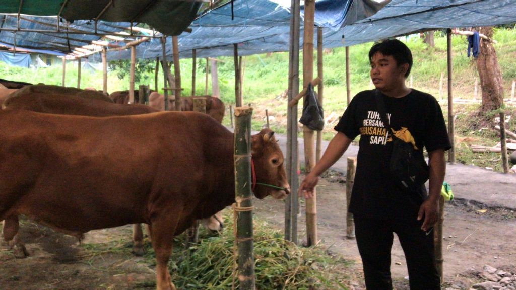 Jelang Idul Adha, PPSDS Jatim Sebut SKKH Sulit Dapatkan