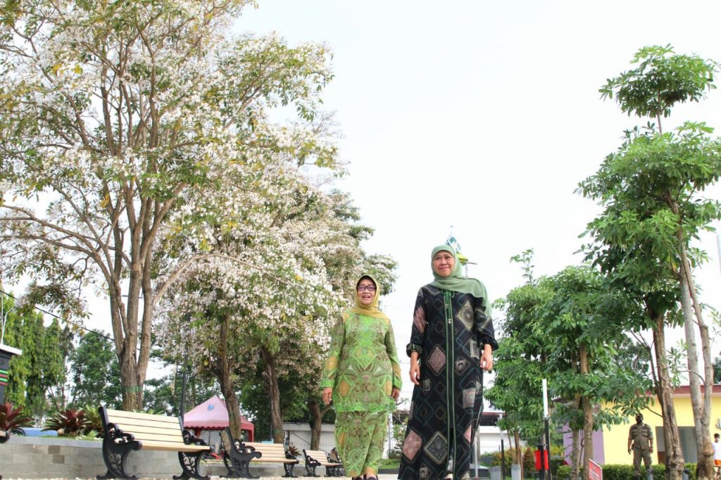Bunga Tabebuya di Jombang Bikin Terpukau, Khofifah: Suasana Jalan ala Negeri Sakura