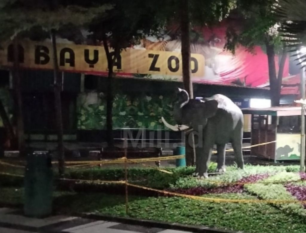 Night Zoo, Perlu Dilengkapi Tour Guide dan Layanan Story Telling
