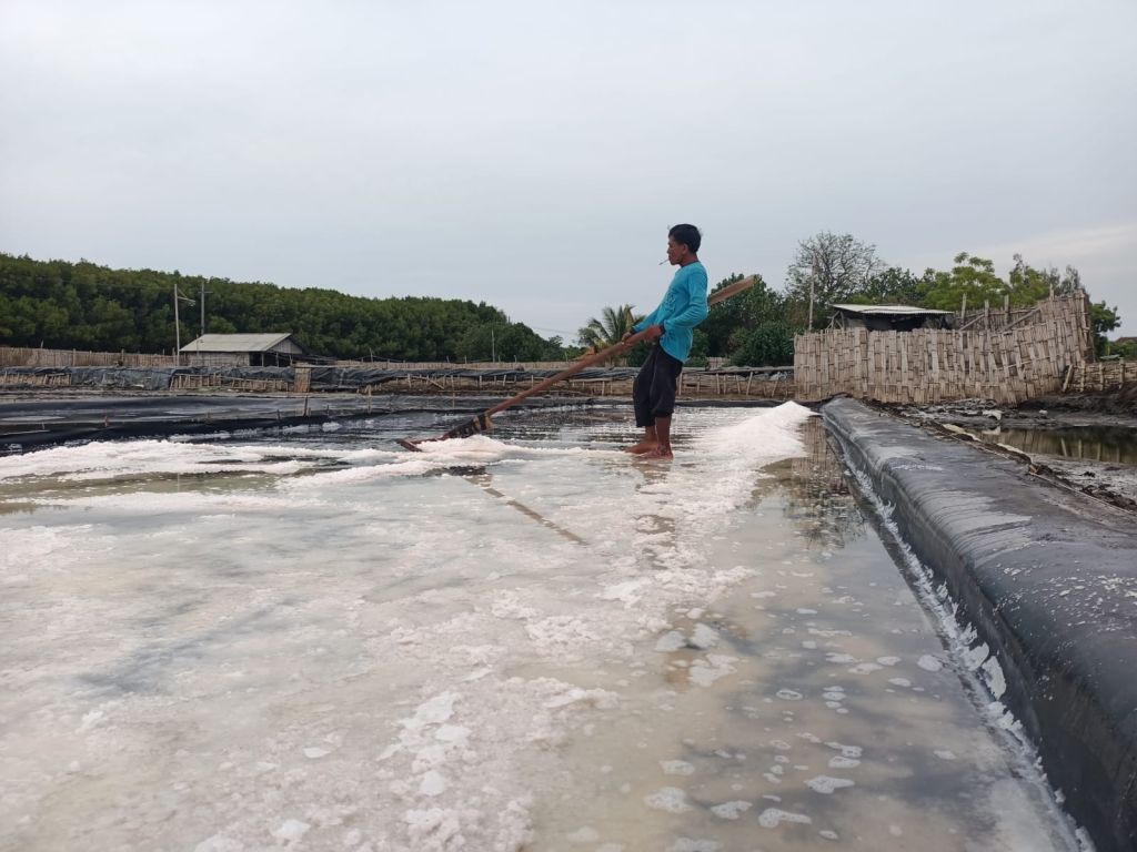 Kemarau Panjang, Target Produksi Garam di Probolinggo Optimistis Tercapai