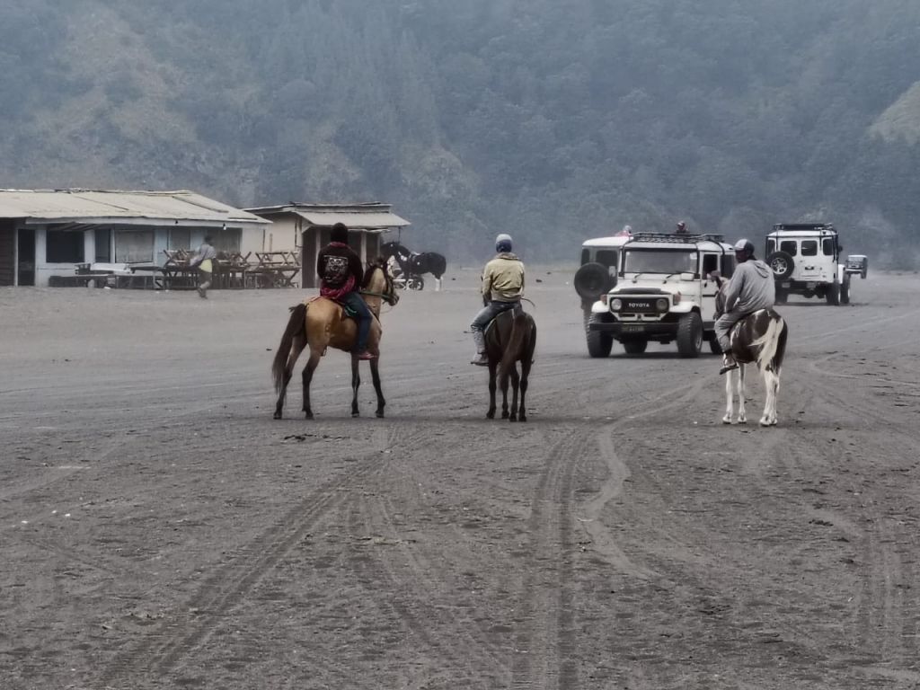 Ojek Kuda dan Pedagang Suvenir di Gunung Bromo Sepi Peminat
