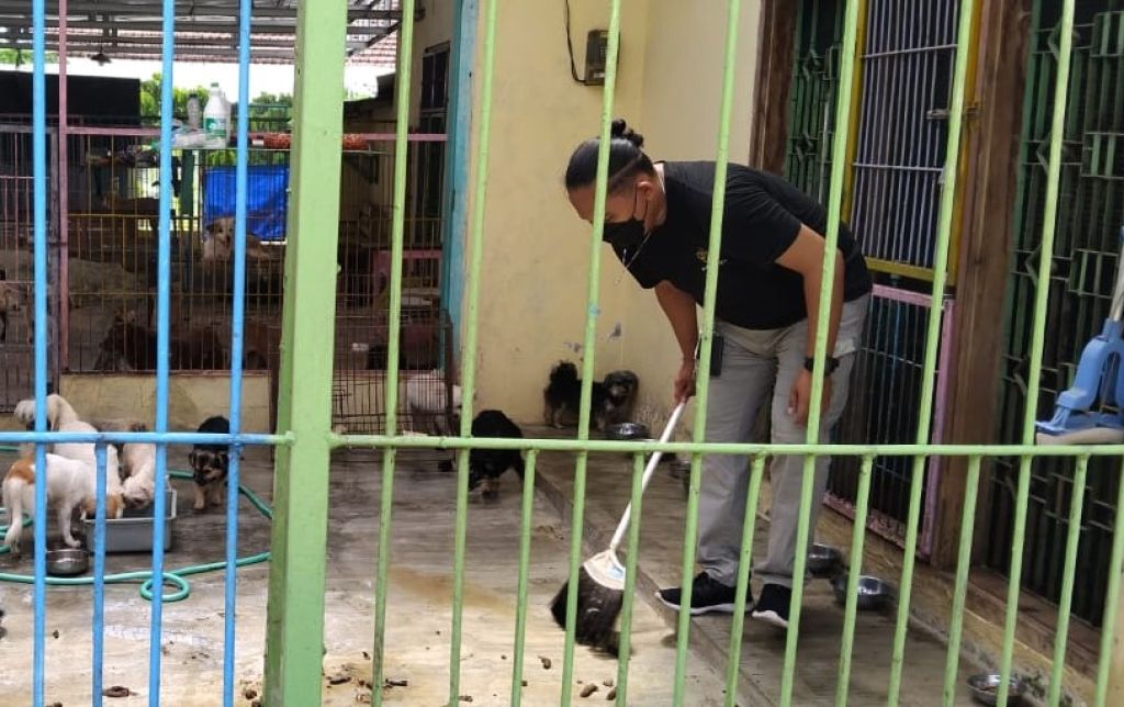 Pembunuhan Pemilik dan Asisten Shelter Hewan Blitar, Polisi: Di Rumah Ada 3 Orang