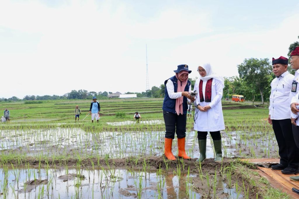 Tani Presisi Berbasis IoT, Cara Banyuwangi Siasati Kurangnya Kuota Pupuk Subsidi