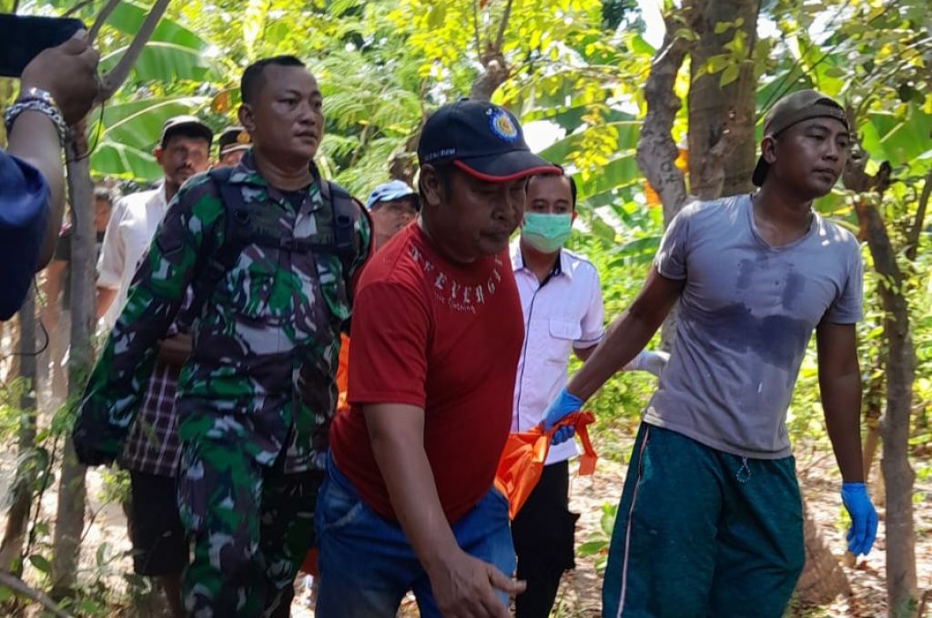 Tertimpa Pohon Kelapa, Pria Paruh Baya Meninggal Mengenaskan di Situbondo