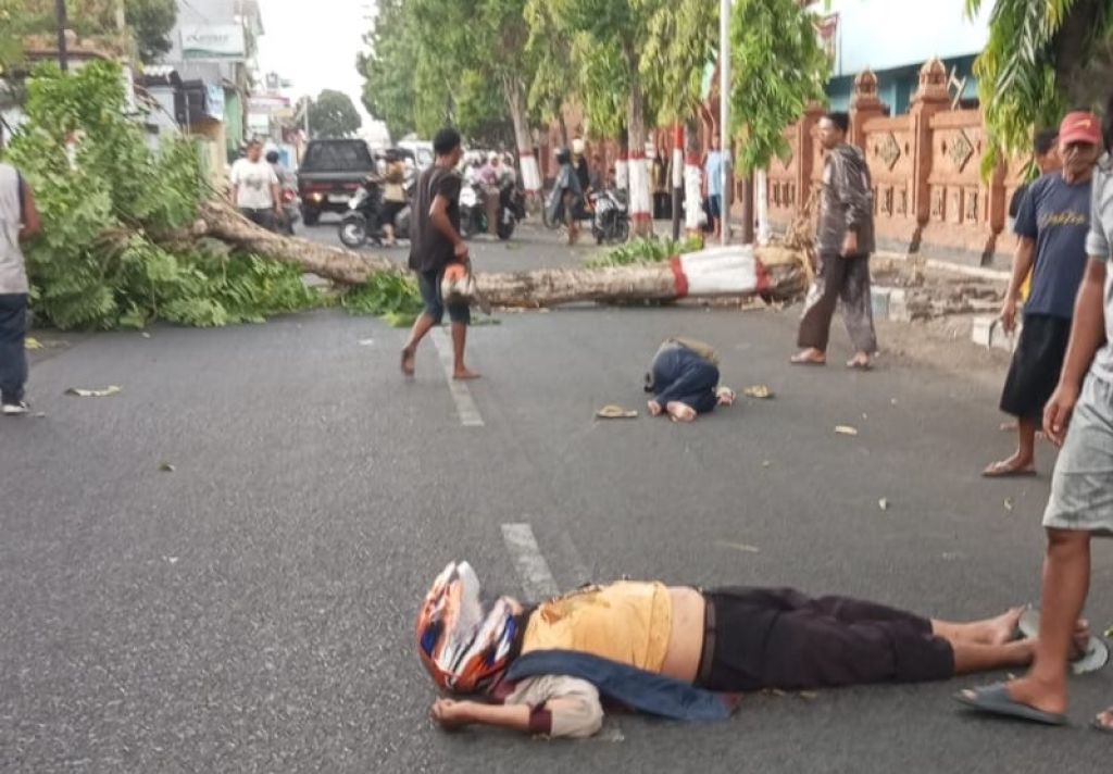 Satu Keluarga Tertimpa Pohon Tumbang di Mojokerto, Kadis DLH: Kami Sudah Mitigasi