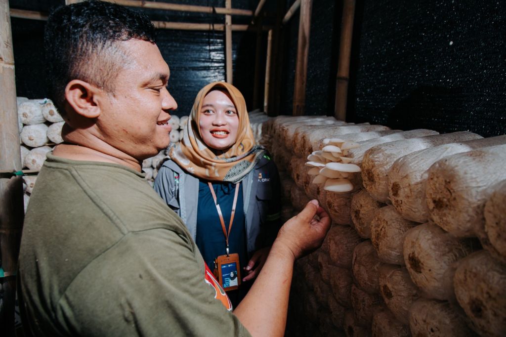 PLN NP Sabet 6 Perhargaan di CID Award 2024, Berikut Rinciannya