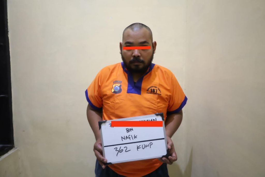 Curi Tas Sesama Pedagang di Pasar Unggas Lamongan Berakhir Dalam Penjara
