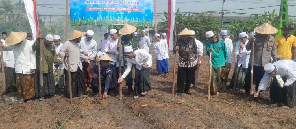 Ketahanan Pangan, Polsek Krian dan Ponpes Tanam Jagung Bersama