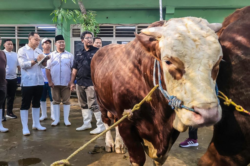 Idul Adha 2026 Dijaga Ketat! Pemkot Surabaya Perangi Penyebaran Penyakit Hewan Kurban
