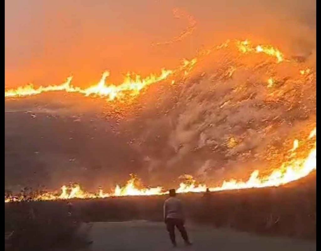 Bukit Teletubbies Bromo Terbakar Gegara Flare Prewedding, 6 Orang Diamankan