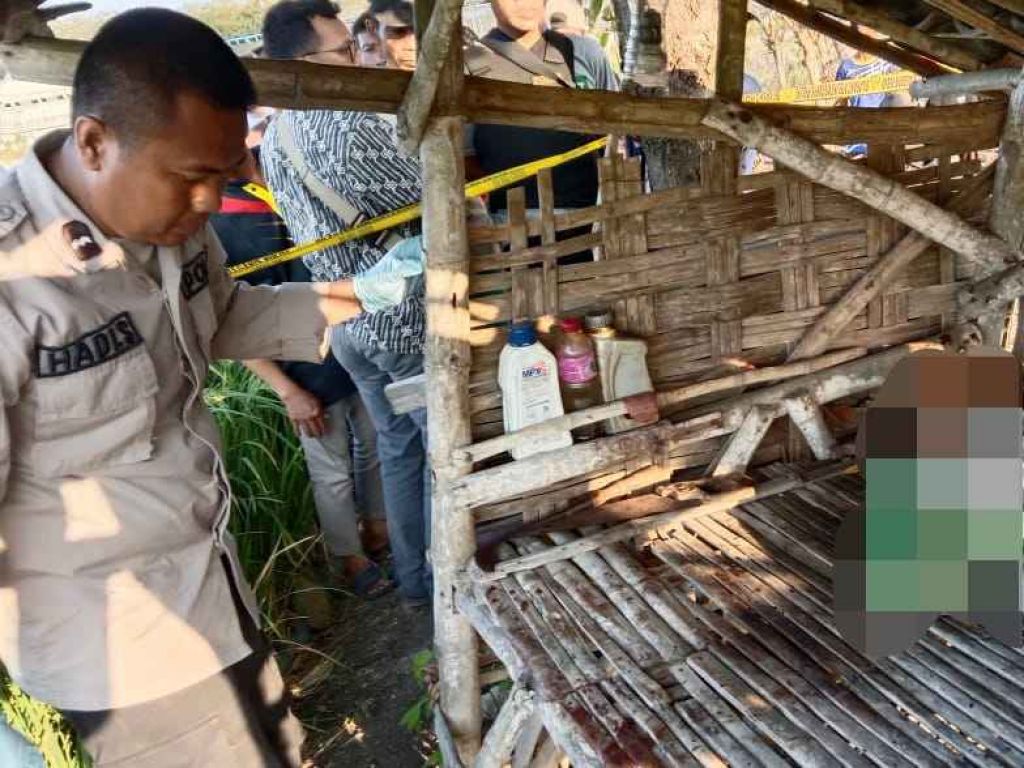 Pria Ditemukan Tewas Bersimbah Darah di Gubuk Sawah Gresik