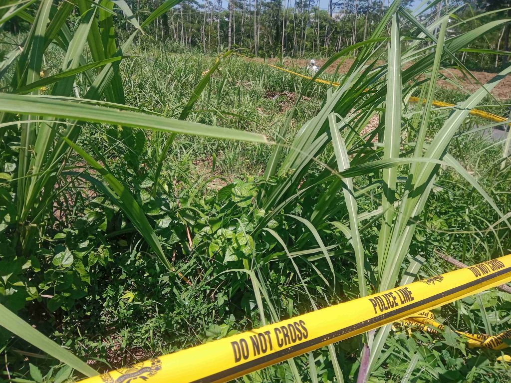 Identitas Pencuri Petai di Bondowoso Masih Misterius, Polisi Sita Senapan Angin