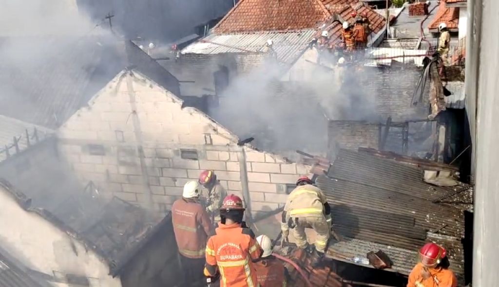 Terungkap! 3 Rumah Terbakar Ditinggal Liburan di KBS Surabaya