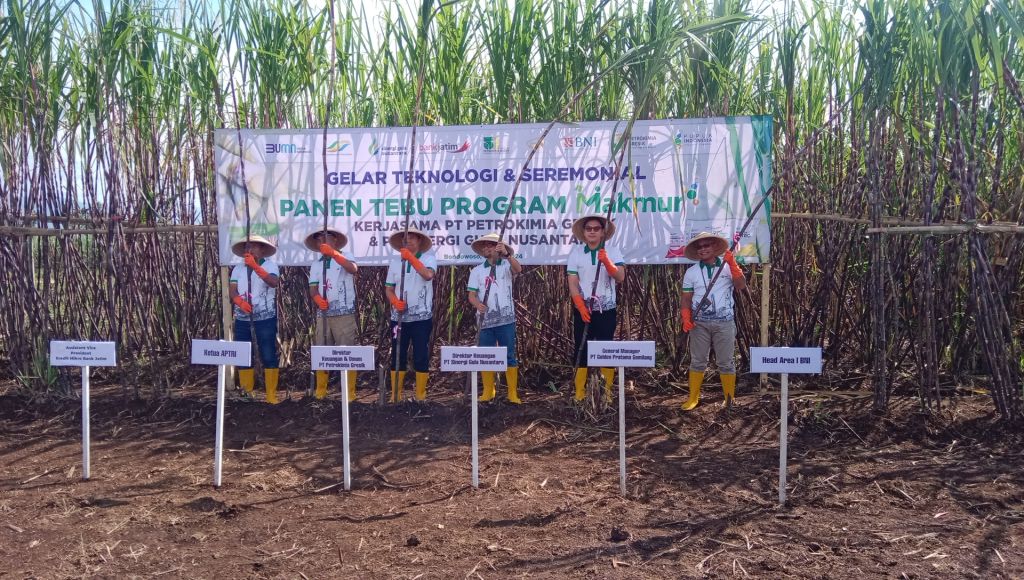 1 Hektar Lahan Tebu di Bondowoso Dipupuk Hanya Setengah Jam dengan Drone Petro Spring