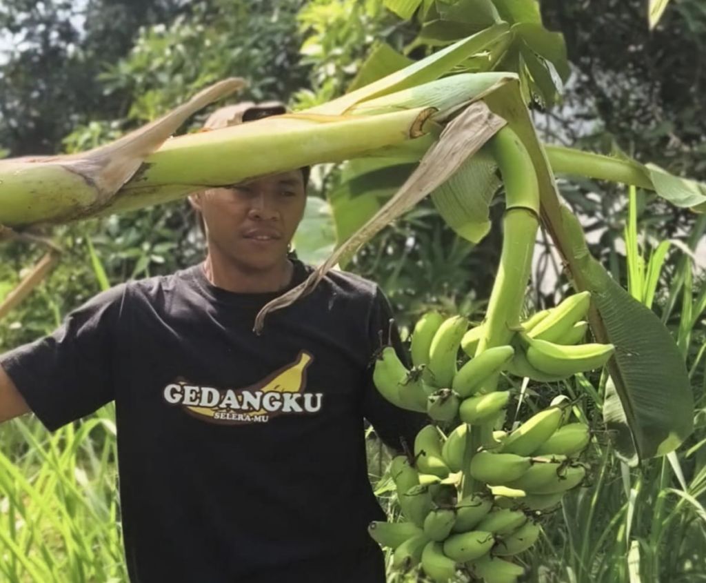 Kisah Inspirasi Geral, Anak Muda Mojokerto yang Memilih Jadi Petani Pisang