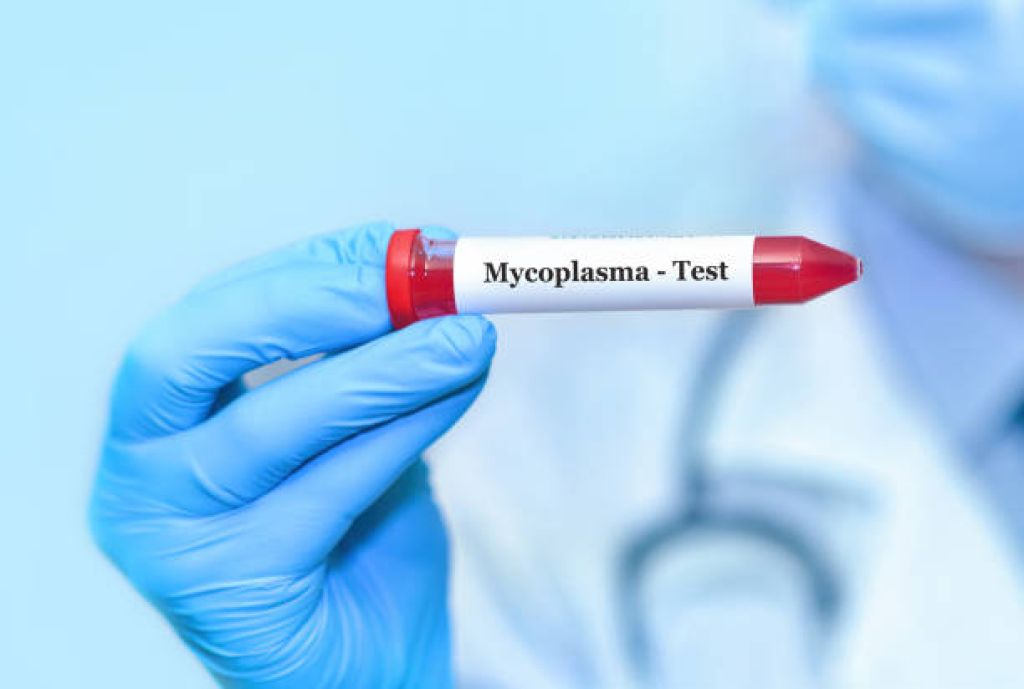 Mycoplasma Pneumonia Hebohkan Emak-emak, Begini Gejala dan Pencegahannya