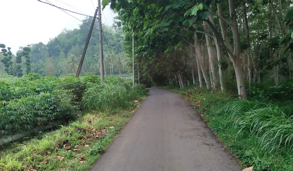 Awas, Pelaku Begal Payudara di Jember Masih Bekeliaran