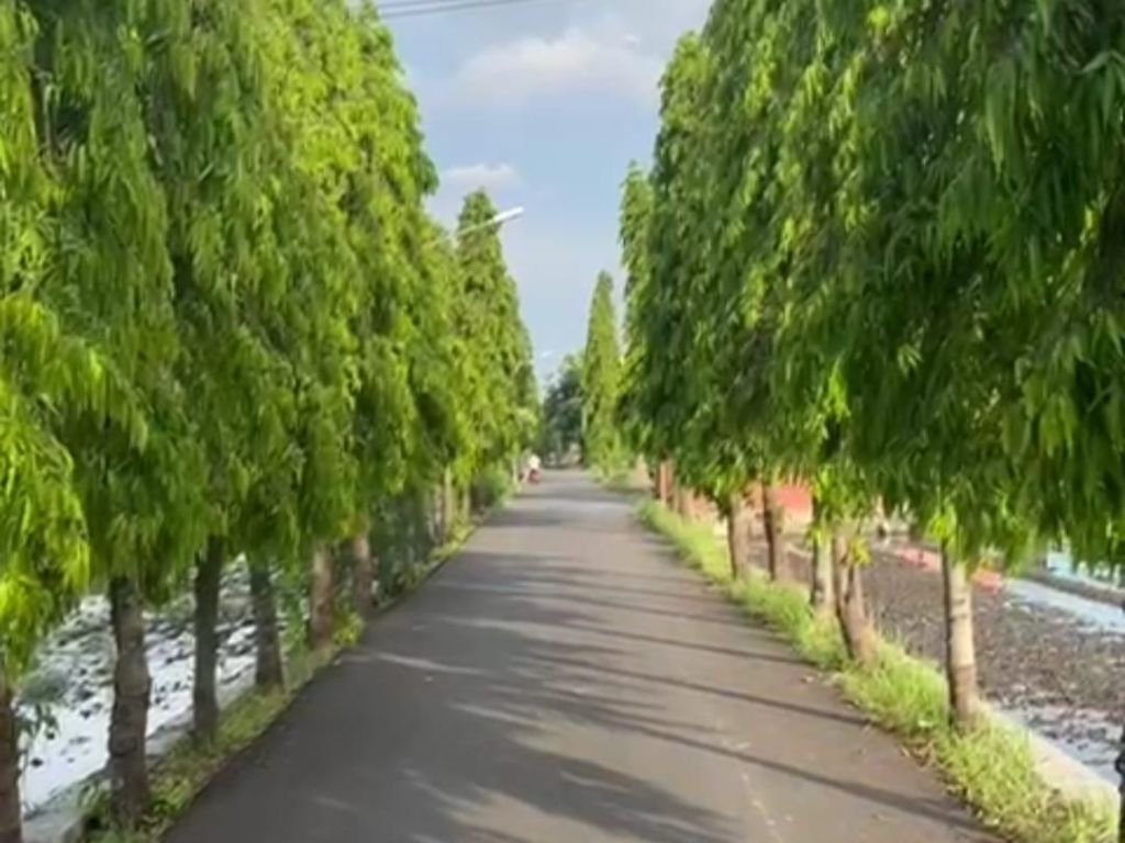 Jalan di Kota Mojokerto ini Punya Julukan Menyeramkan, Hiii...