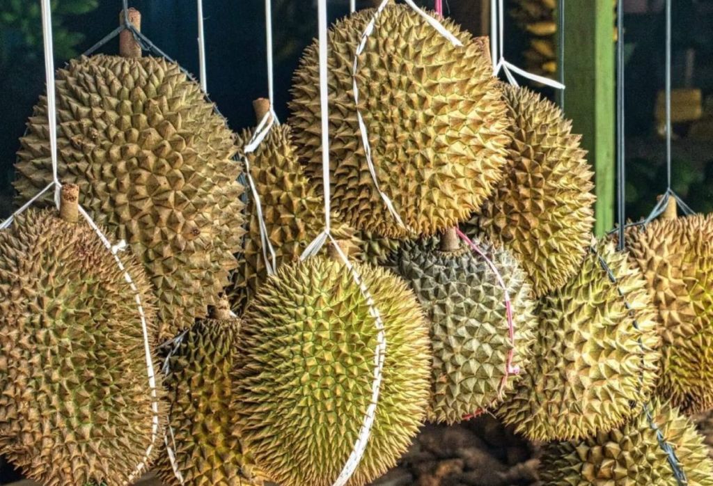 Mengonsumsi Durian Jangan Bersamaan dengan 5 Makanan Ini