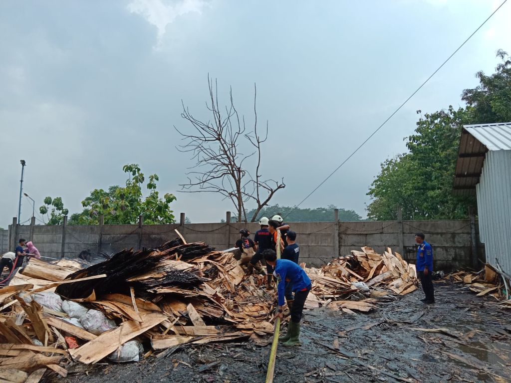 Limbah Pabrik Triplek Terbakar di Bondowoso, Ini Kronologinya