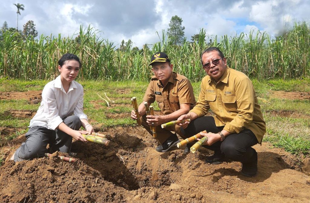 Koperasi Kana dan UGM Berkolaborasi Dukung Pertanian Berkelanjutan di Kabupaten Agam