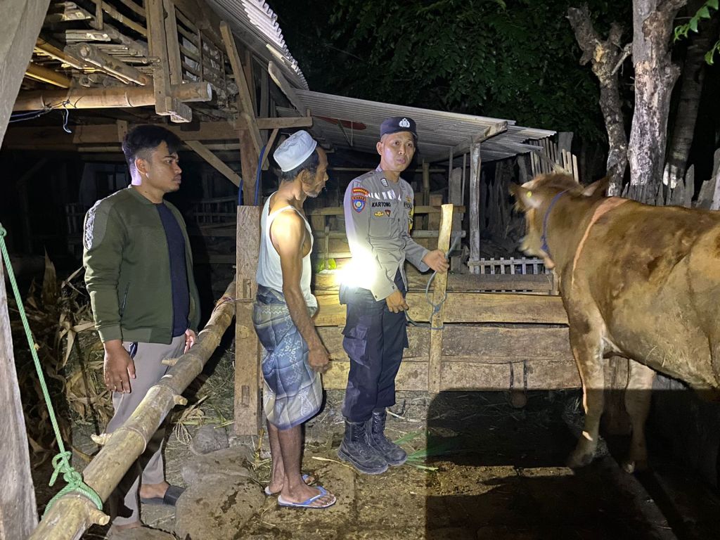 Komplotan Pencuri 2 Sapi di Situbondo Gagal Beraksi