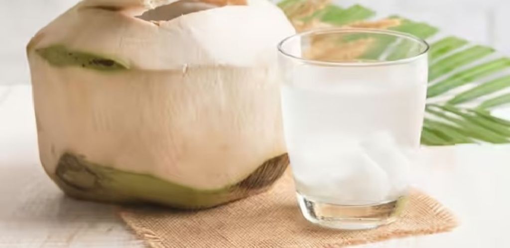 Delapan Manfaat Minum Air Kelapa Muda bagi Kesehatan